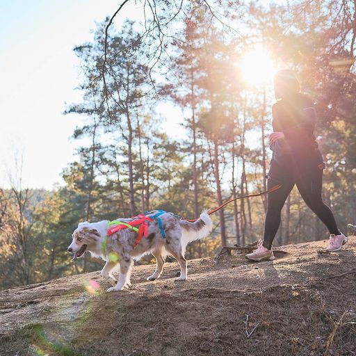 Non-Stop Dogwear Freemotion Harness 5.0 Vetovaljaat - Keltainen/vaaleanpunainen/sininen - 7
