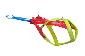 Non-Stop Dogwear Freemotion Harness 5.0 Vetovaljaat - Keltainen/vaaleanpunainen/sininen