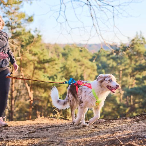 Non-Stop Dogwear Freemotion Harness 5.0 Vetovaljaat - Keltainen/vaaleanpunainen/sininen - 6