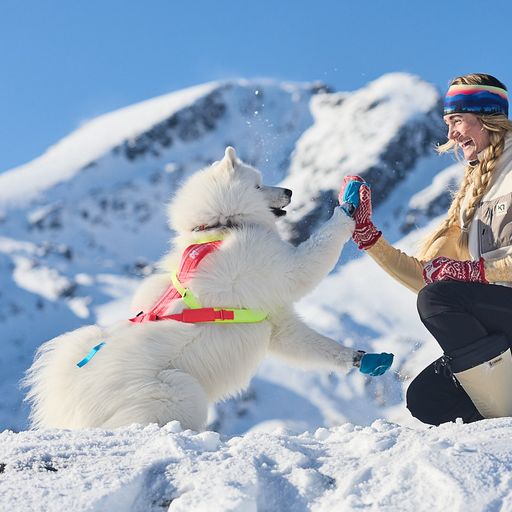 Non-Stop Dogwear Freemotion Harness 5.0 Vetovaljaat - Keltainen/vaaleanpunainen/sininen - 5