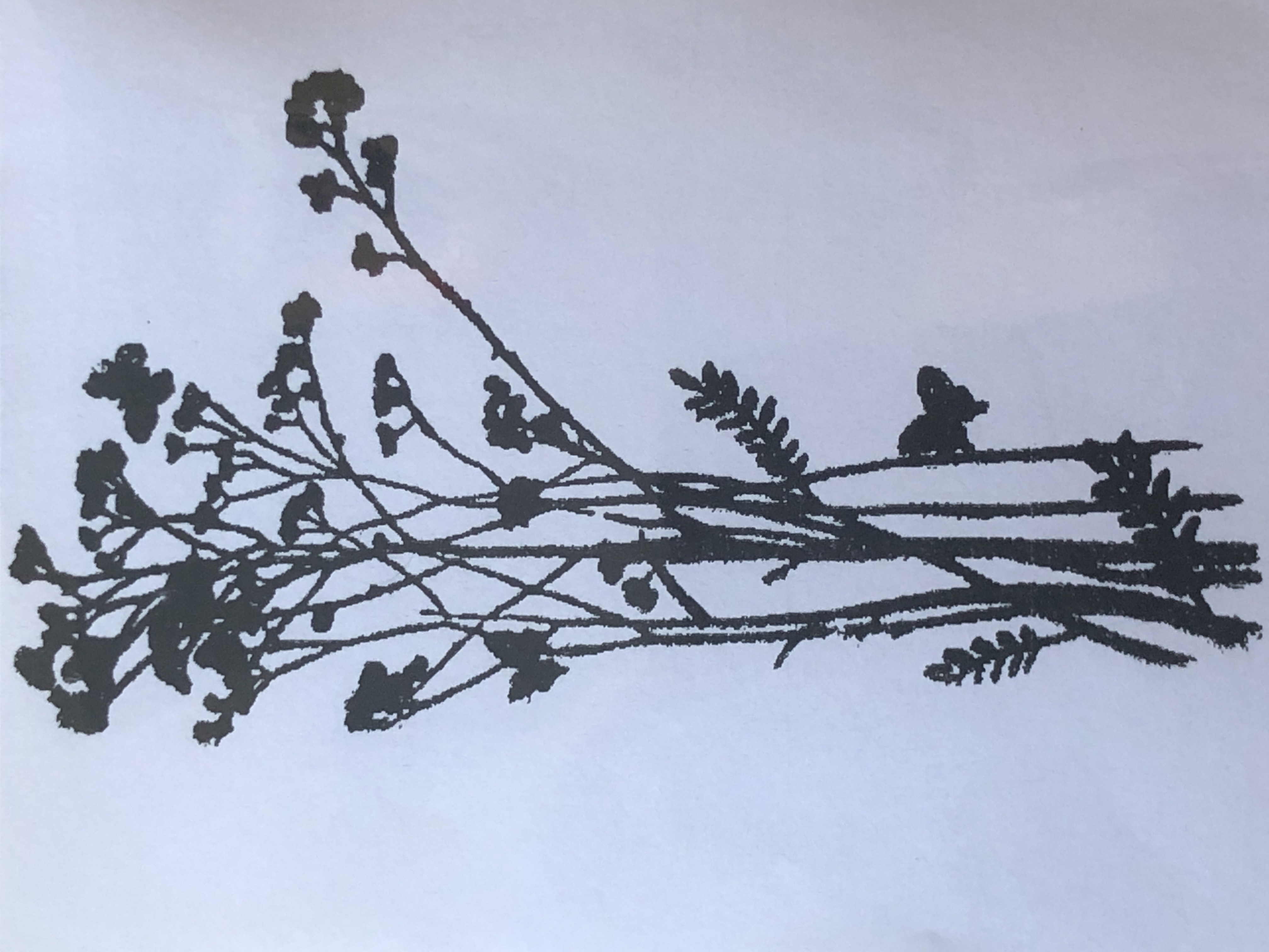 Siluett blomma, Gummistämpel, Reprint