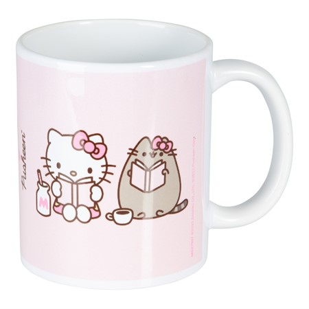 Sanrio Vacuum mug 500ml – Joykawaii