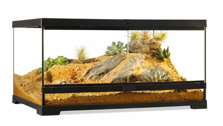 Terrarium Medium Low Exoterra 60x45x30 cm