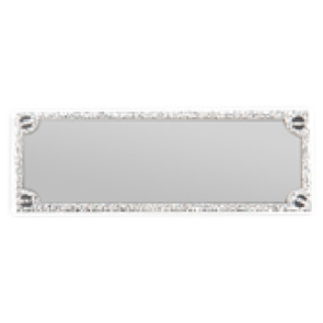 Trophy Plate Silver 51x18 mm