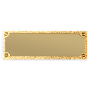 Trophy Plate Golden 51x18 mm