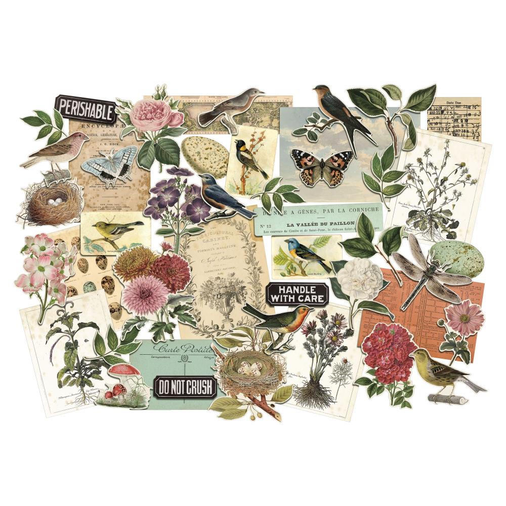 Tim Holtz - Idea-Ology Layers Die-Cuts 45/Pkg - Organic - 2