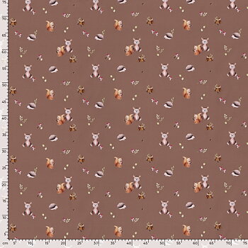 SOFTSHELL FOREST ANIMALS