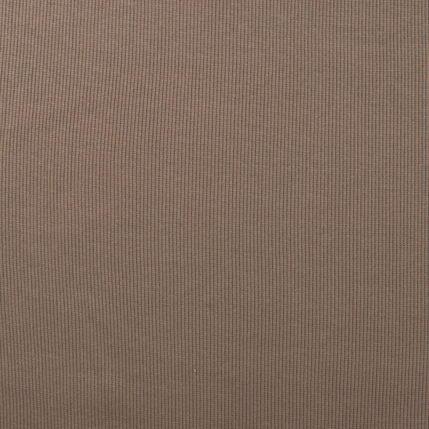 RIBBAD JERSEY - TAUPE