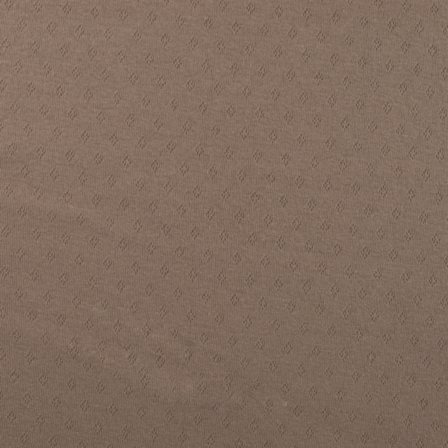 POINTELLE JERSEY - TAUPE