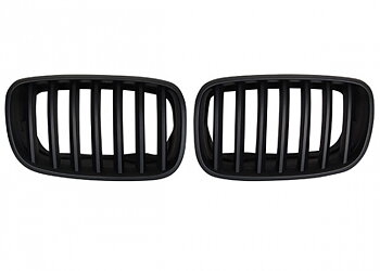 Sportgrill Mattsvart BMW X5 E70 / X6 E71 (07-UPP)