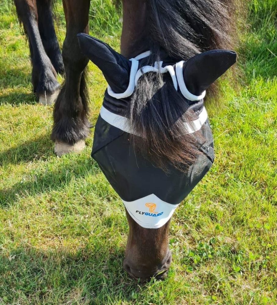 Flyguard - Flughuva med öron och pannluggshål - 2
