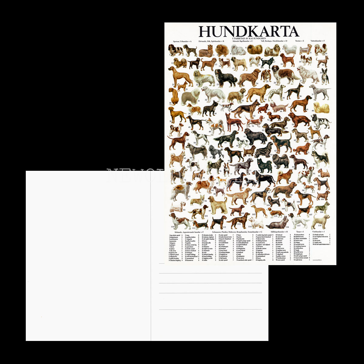 HUNDKARTA Vykort A4 No: 14 av 15 - 3
