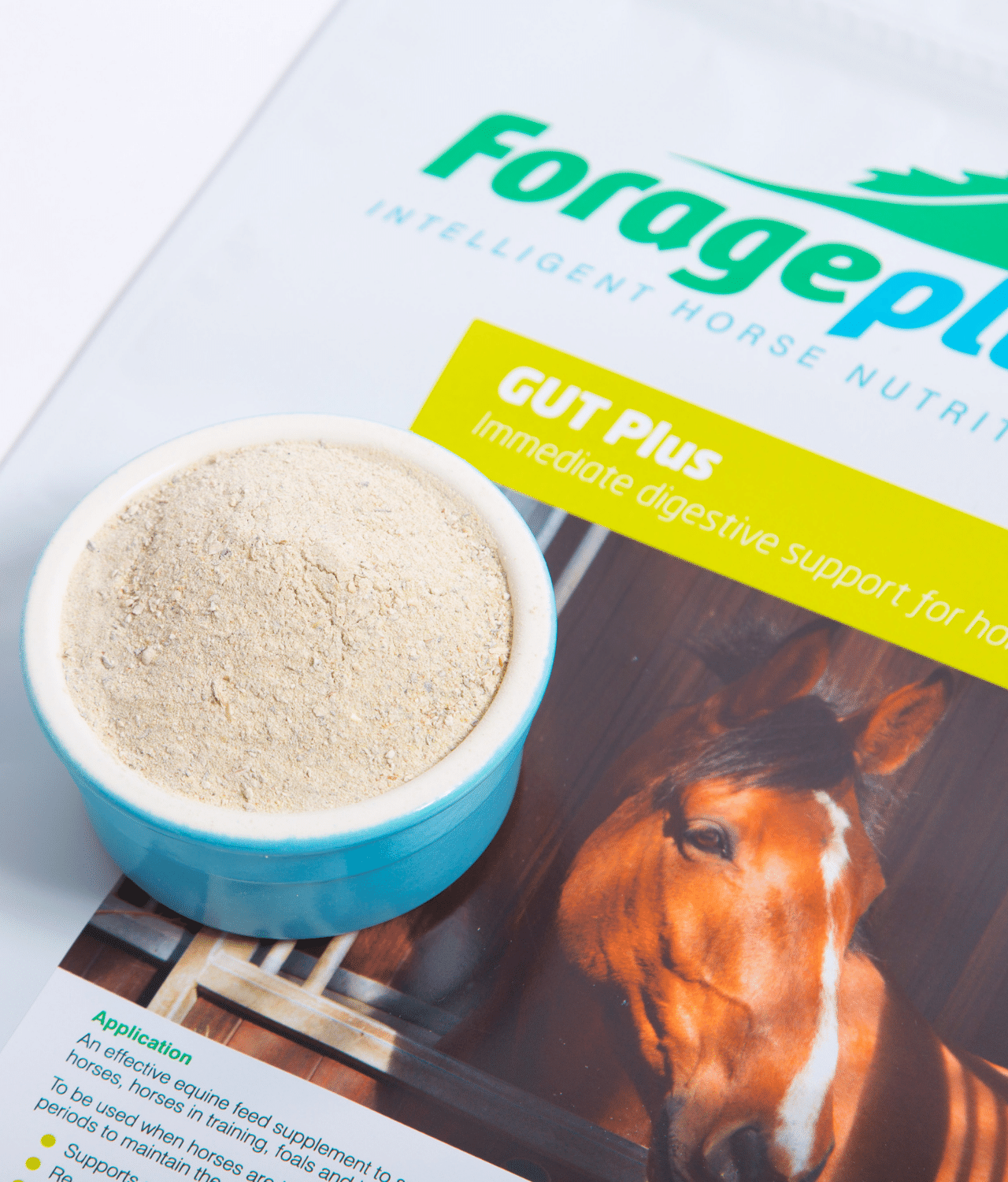 FORAGEPLUS GUT PLUS | GUT BALANCER 5KG - 2