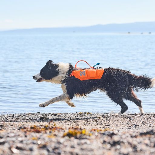 Non-Stop Dogwear Protector Life Jacket - Black/Orange  
