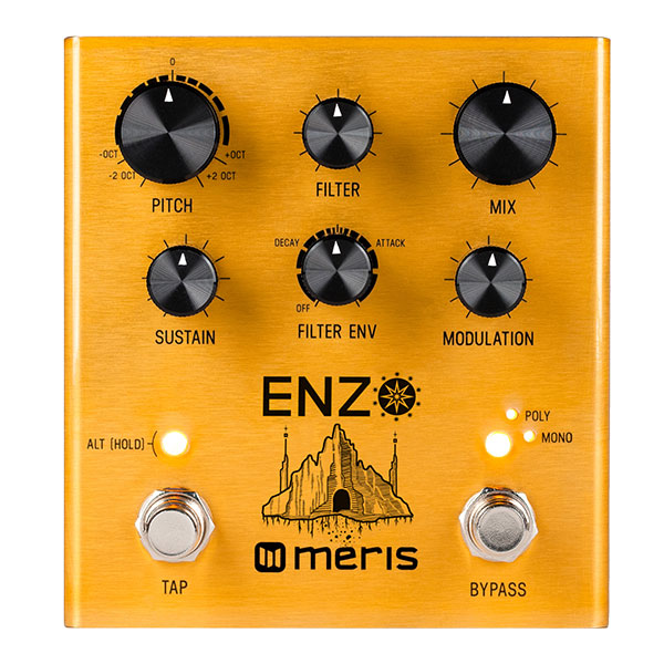 MERIS ENZO