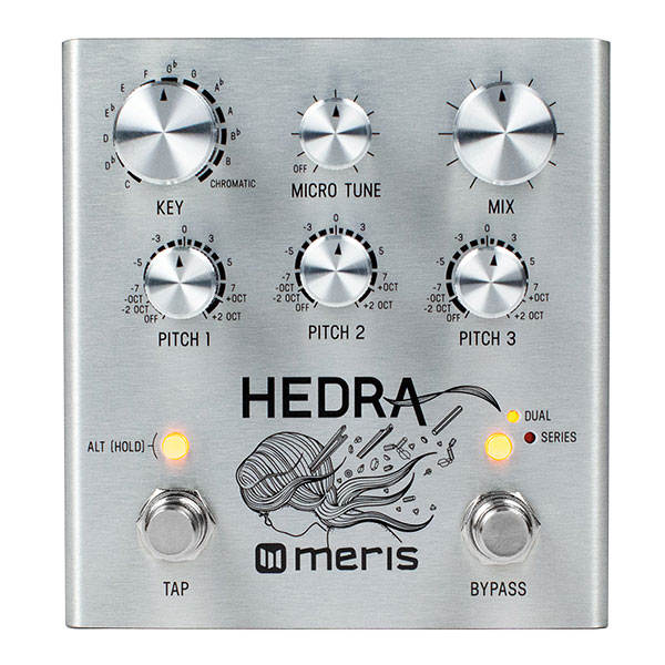 MERIS HEDRA