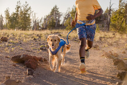 Ruffwear Trail Runner Leash - Blue Pool 