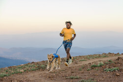 Ruffwear Trail Runner Leash - Blue Pool 