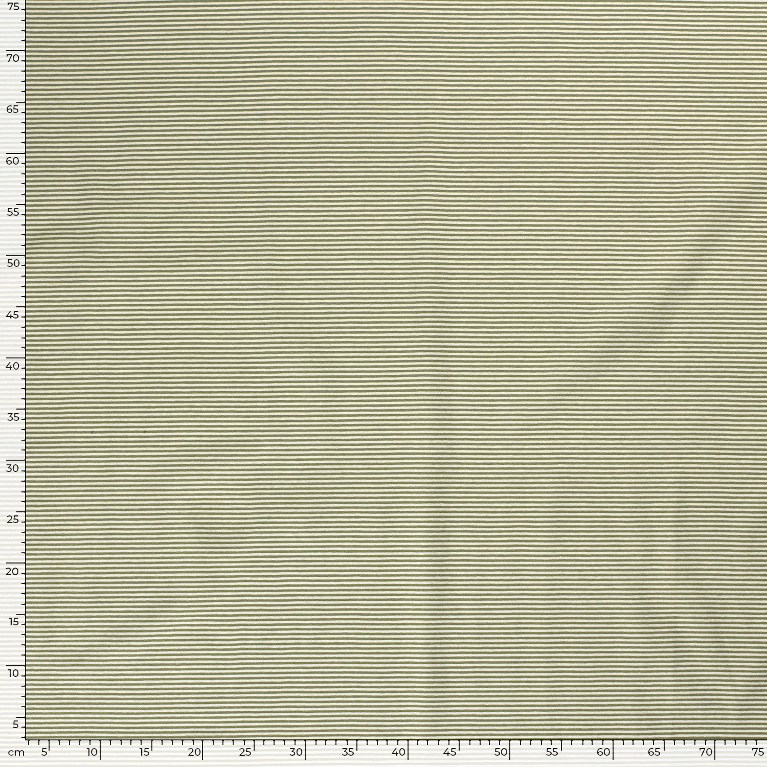 STRIPES 2.5 - GREEN - 2
