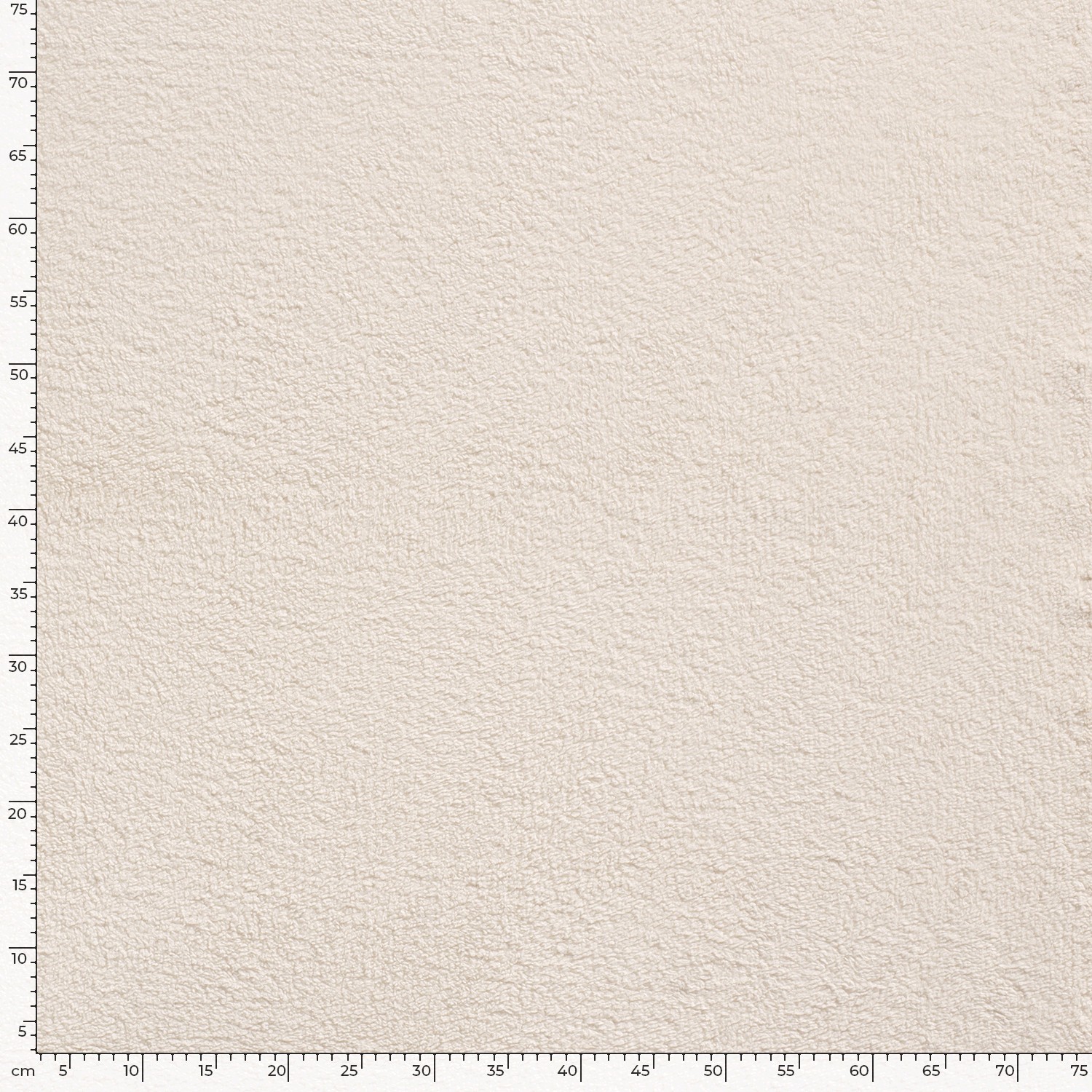 TEDDY - SAND - 3