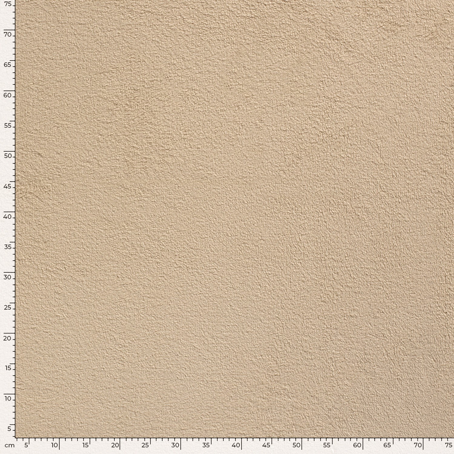 TEDDY - BEIGE - 3