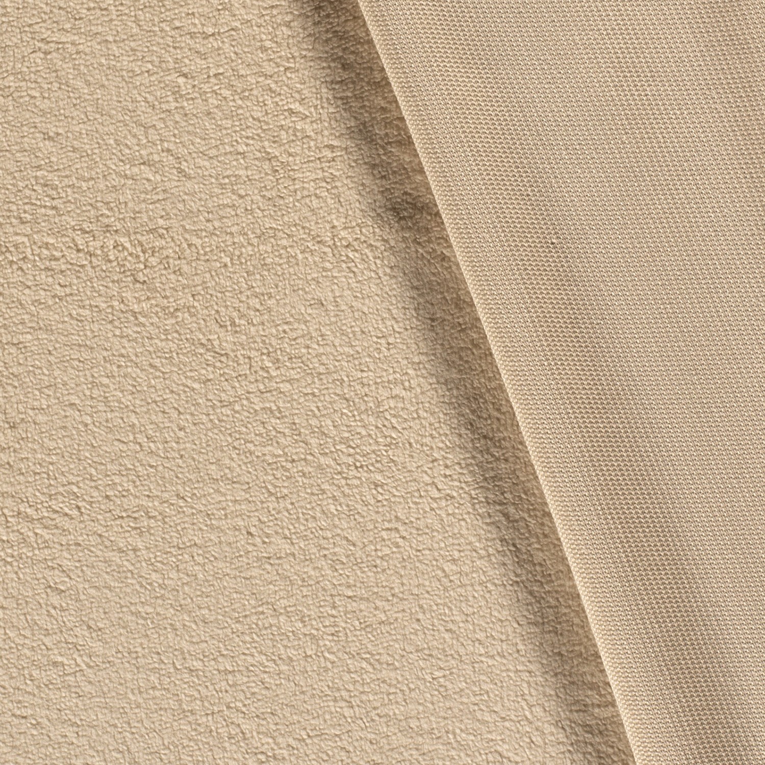 TEDDY - BEIGE - 2