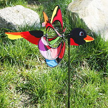 Magic Bird