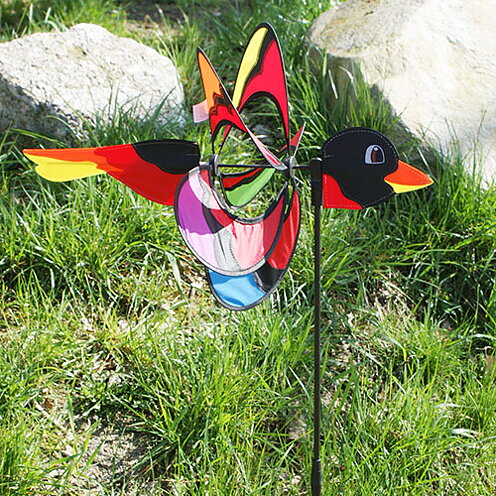 Magic Bird