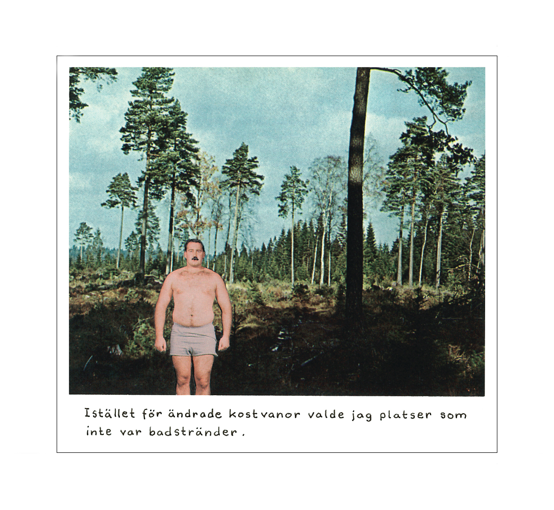 Magnet Jan Stenmark 'Kostvanor'