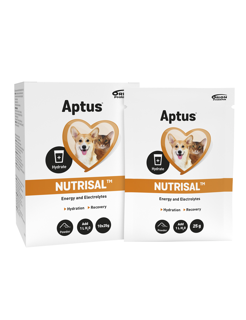 Aptus Nutrisal Vätskeersättning 10x25g