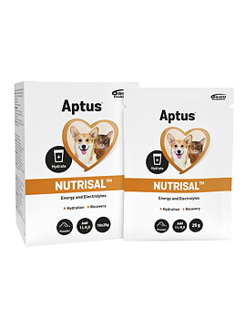 Aptus Nutrisal Vätskeersättning 10x25g