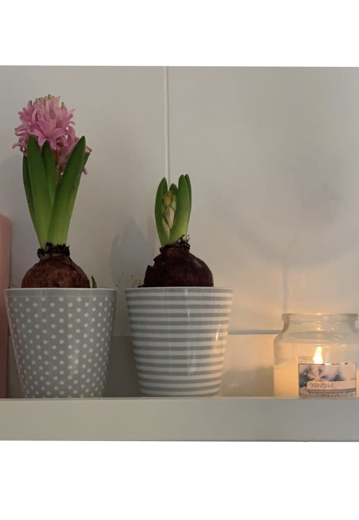 Happy Mugs Thin Stripes Krasilnikoff. Advent. Hyacinter.