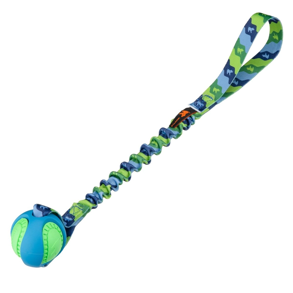Bungee dog toy with ball toy for agility dog