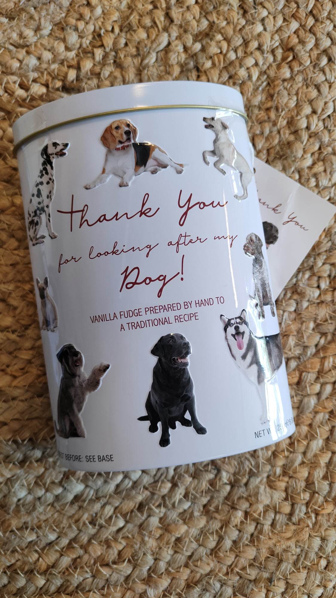 Fudge - Thanks for watching my dog 