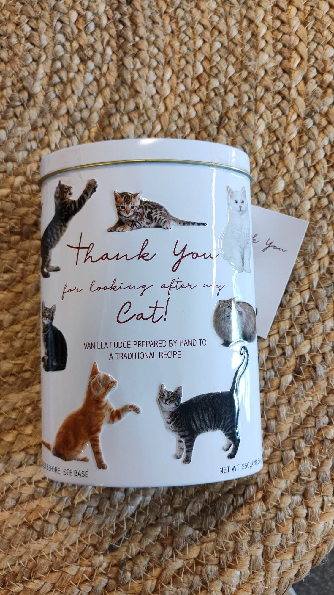 Fudge - Thanks for watching my cat