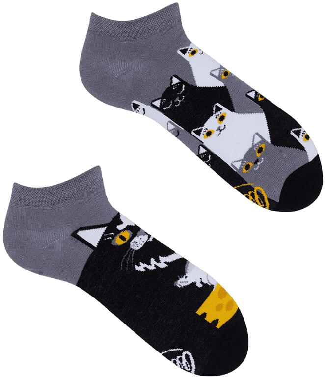 Many Mornings Black Cat