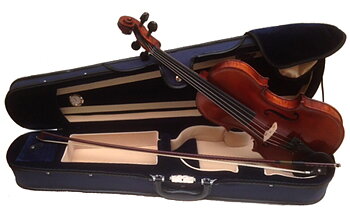 Arirang Student Violin - Allergy