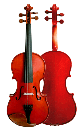 Arirang Student Violin - Allergy - 2