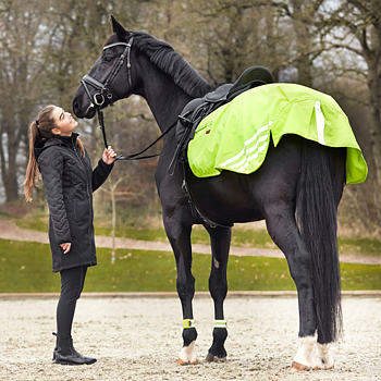 Horse Guard Judy reflective hind excercise sheet Yellow