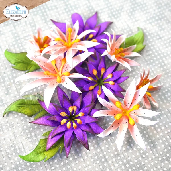 Elizabeth - Dies - Florals 22 - 4