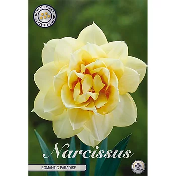 82136  NARCISSUS  ROMANTIC PARADISE    DOUBLE