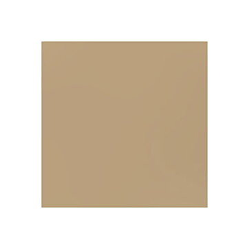 BZ Canvas - Chocolate Malt T9-963