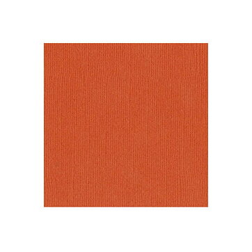 BZ Canvas - Bazzill Orange T9-963