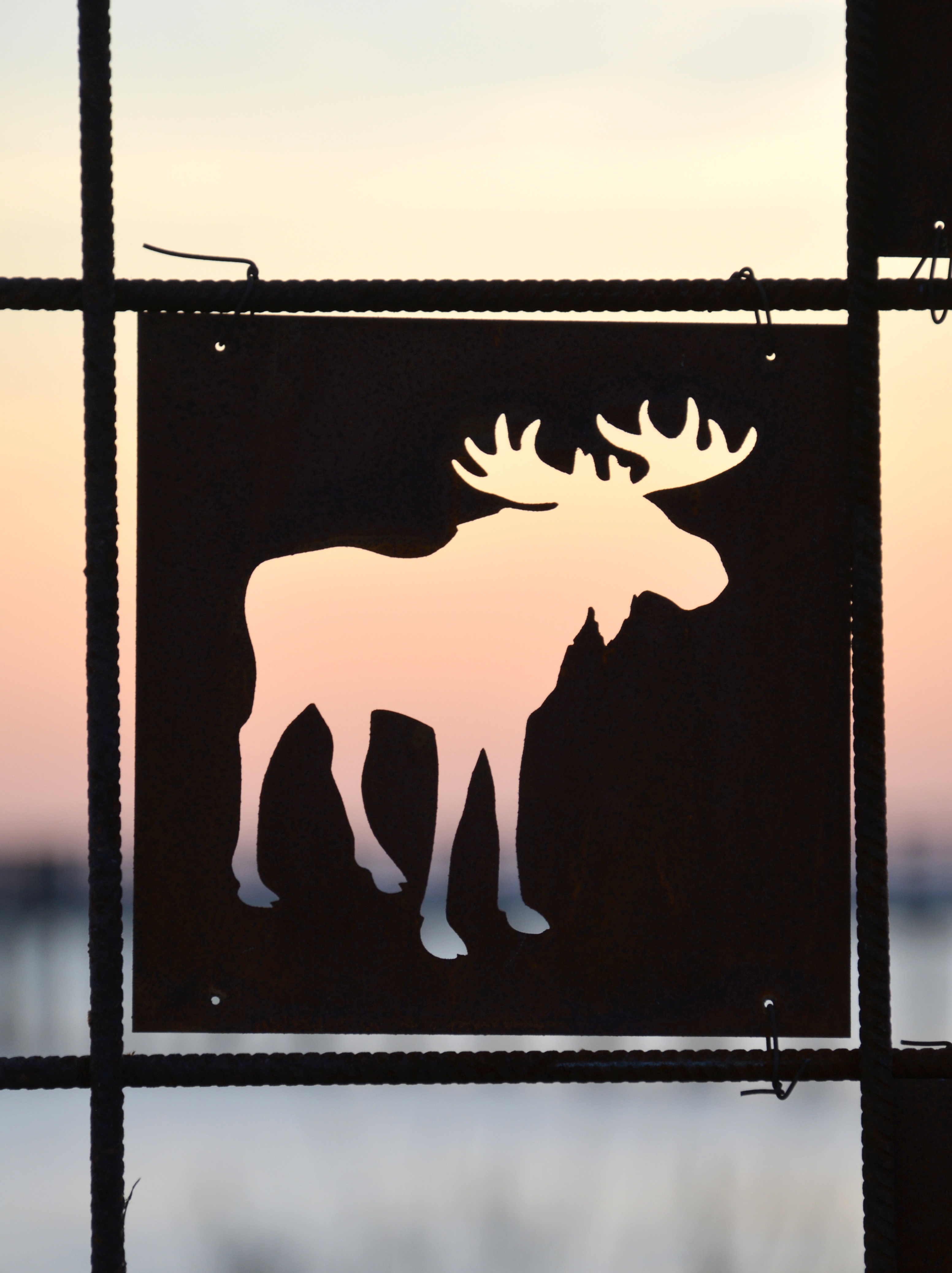 Rostig skylt till armeringsnät ÄLG 14 cm