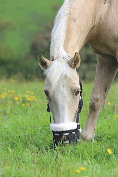 Shires Deluxe Gräsreducerare svart - Cob