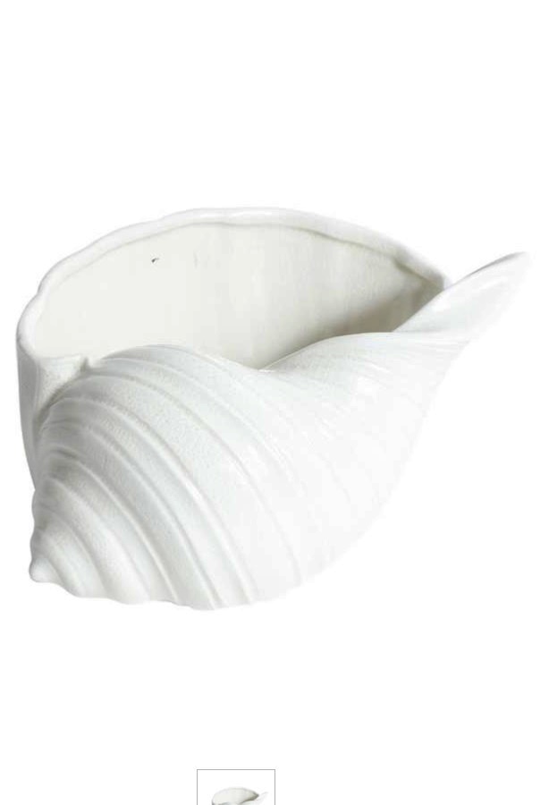 Shell - Bowl - Seashell - White - 21x17 cm - 3