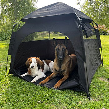 popup pet tent for dogs