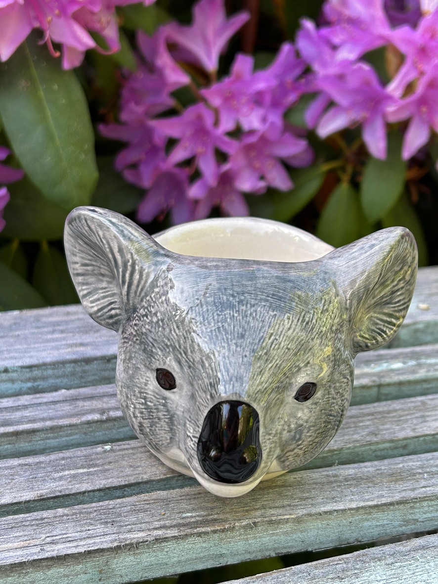 Äggkopp koala