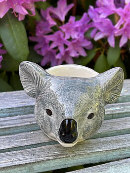 Äggkopp koala
