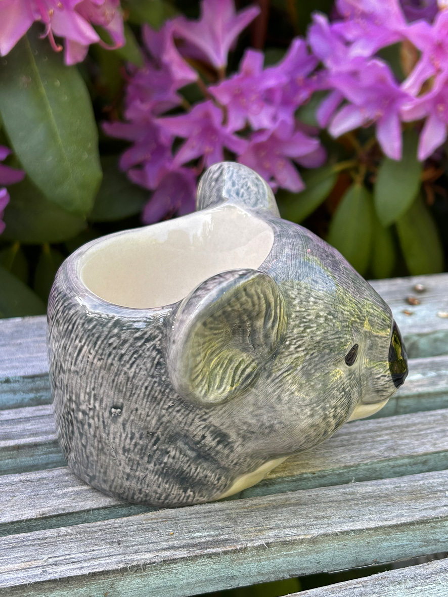Äggkopp koala - 2